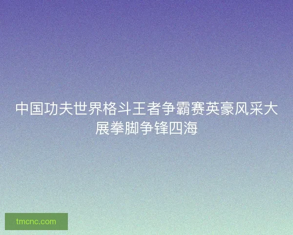 中国功夫世界格斗王者争霸赛英豪风采大展拳脚争锋四海
