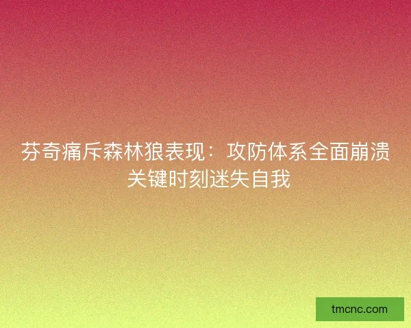 芬奇痛斥森林狼表现：攻防体系全面崩溃 关键时刻迷失自我