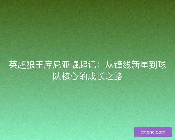 英超狼王库尼亚崛起记：从锋线新星到球队核心的成长之路