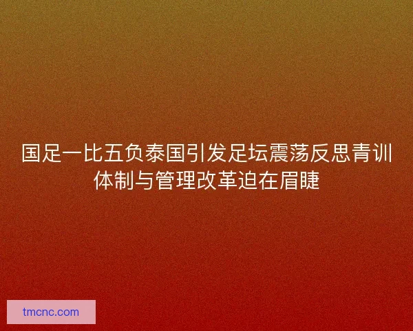 国足一比五负泰国引发足坛震荡反思青训体制与管理改革迫在眉睫 国足一比五负泰国引发足坛震荡反思青训体制与管理改革迫在眉睫