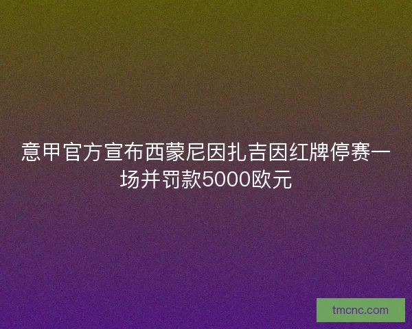 意甲官方宣布西蒙尼因扎吉因红牌停赛一场并罚款5000欧元